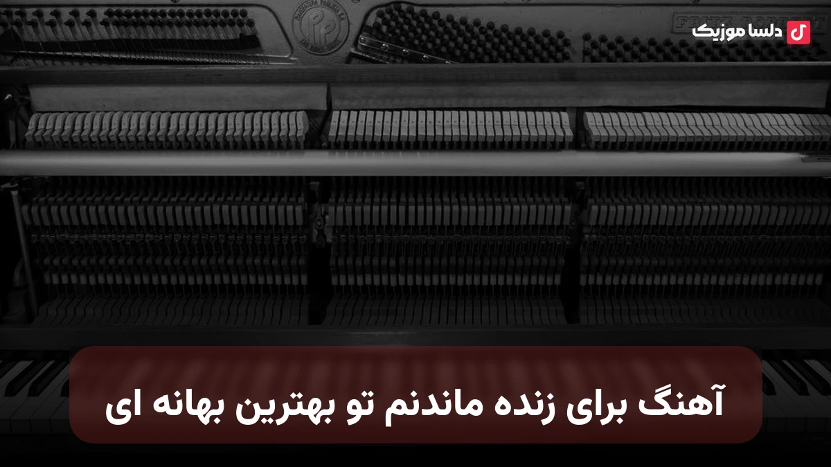  برای زنده ماندنم تو بهترین بهانه ای صدای زن